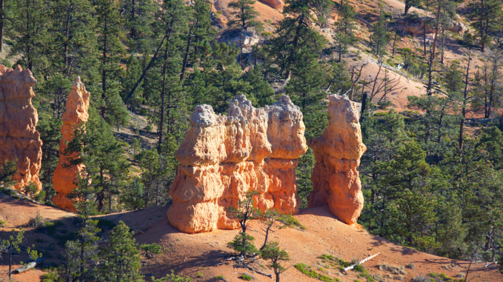 Bryce canyon national park in Utah, USA