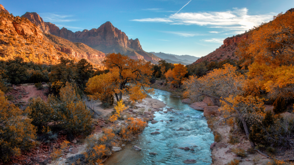 The Virgin River in Zion National Park
