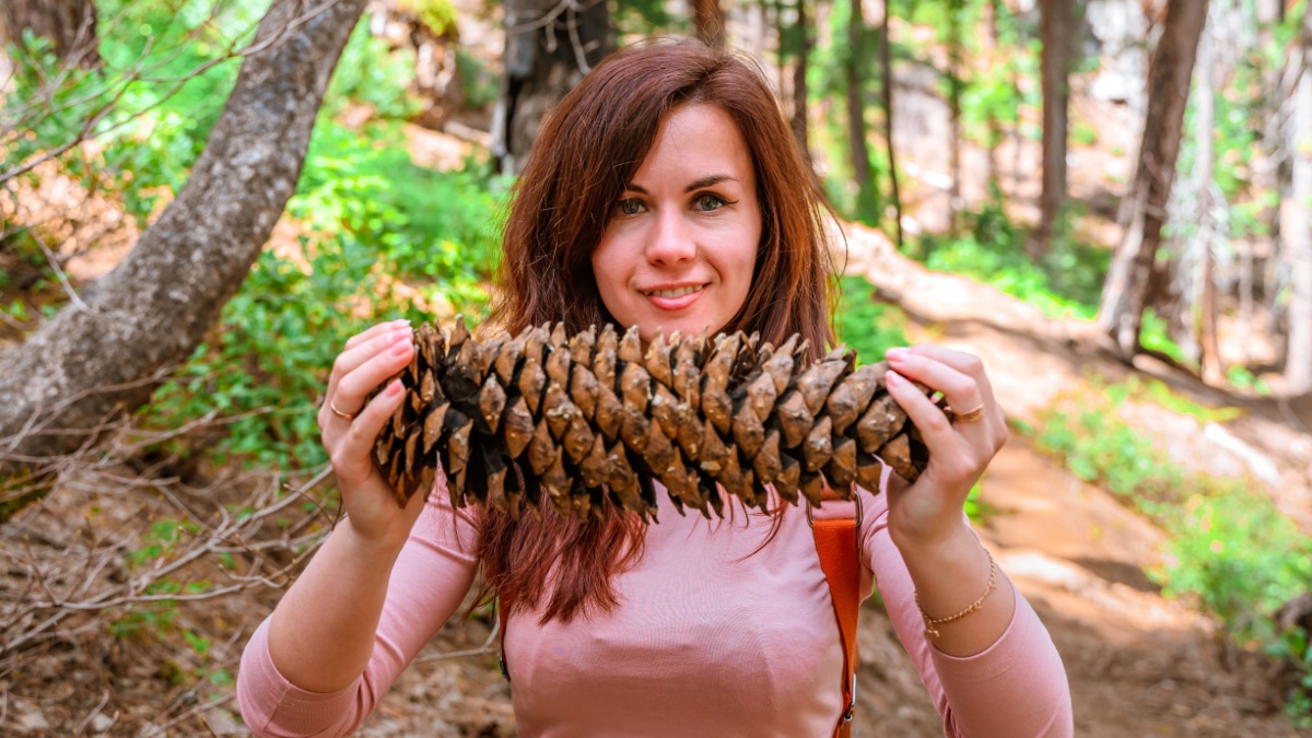 woman in national park